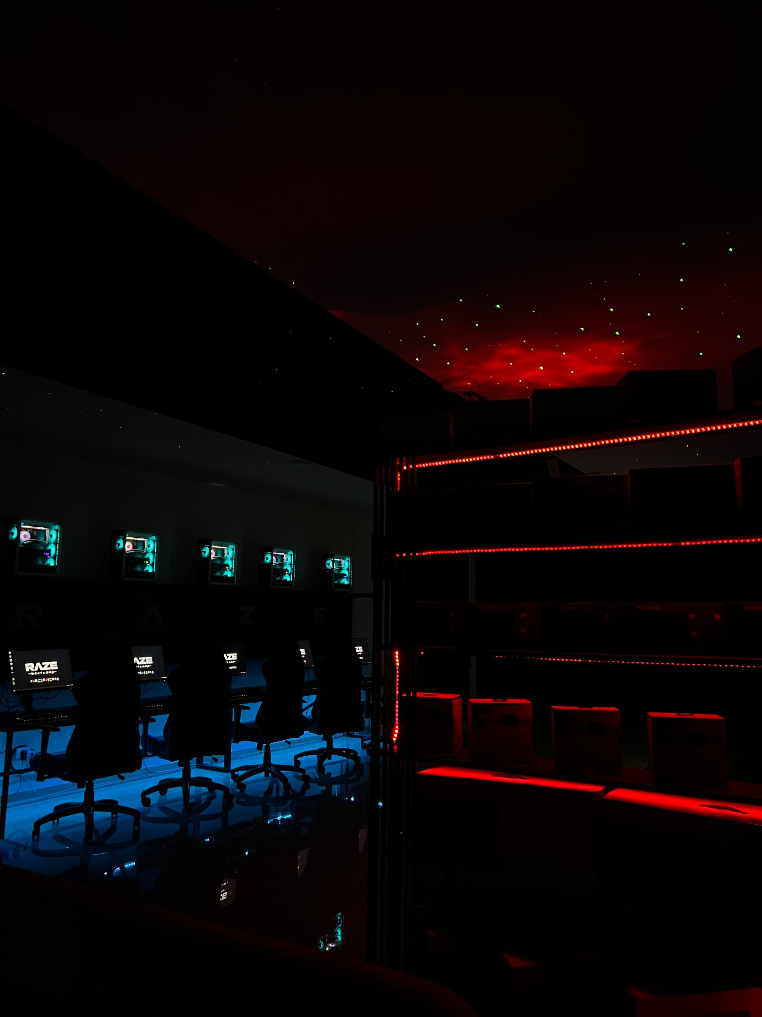 RAZE Bootcamp ambient